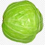 Cabbage